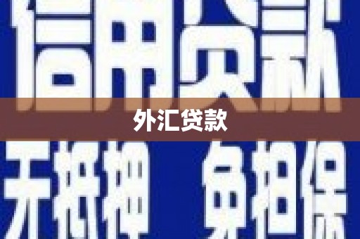 泉山外汇贷款