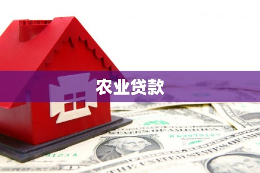泉山农业贷款