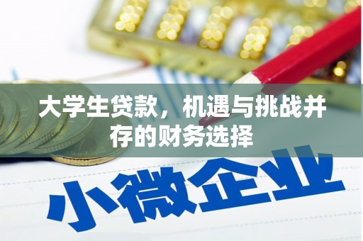 泉山大学生贷款，机遇与挑战并存的财务选择