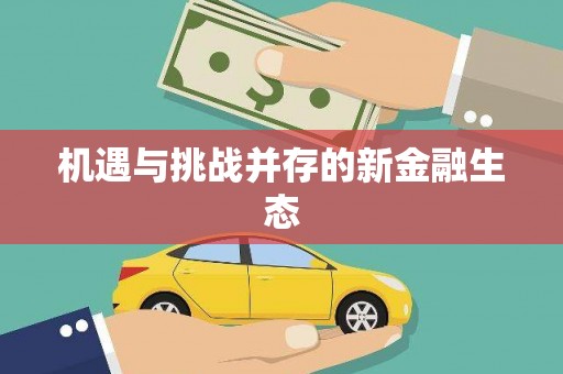 泉山机遇与挑战并存的新金融生态