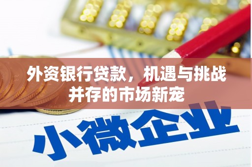 泉山外资银行贷款，机遇与挑战并存的市场新宠