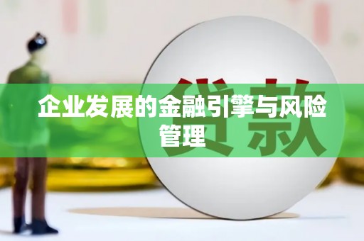 泉山企业发展的金融引擎与风险管理