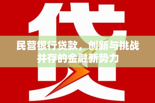 泉山民营银行贷款，创新与挑战并存的金融新势力