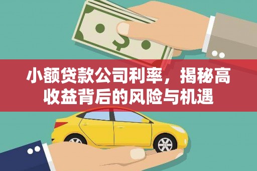 泉山小额贷款公司利率，揭秘高收益背后的风险与机遇