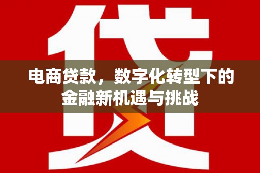 泉山电商贷款，数字化转型下的金融新机遇与挑战