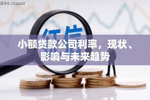 泉山小额贷款公司利率，现状、影响与未来趋势