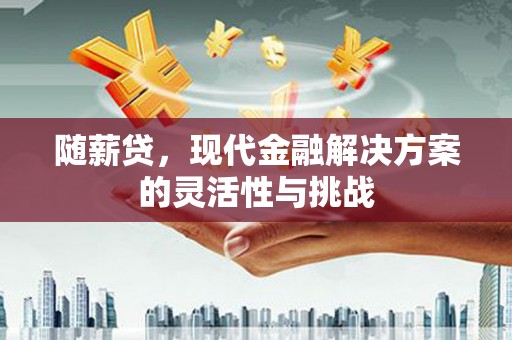 泉山随薪贷，现代金融解决方案的灵活性与挑战