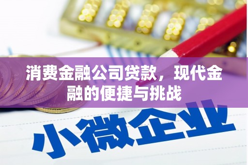 泉山消费金融公司贷款，现代金融的便捷与挑战