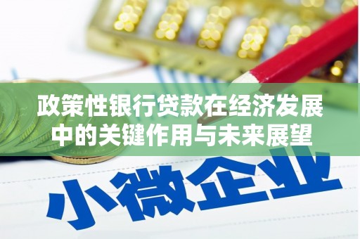 泉山政策性银行贷款在经济发展中的关键作用与未来展望