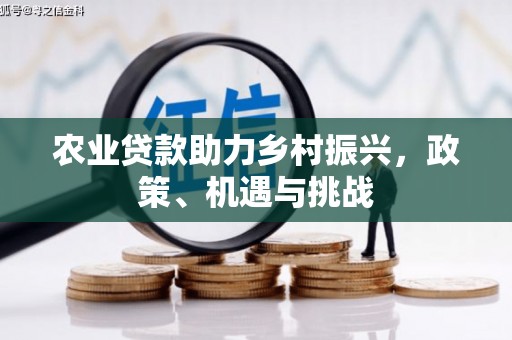 泉山农业贷款助力乡村振兴，政策、机遇与挑战