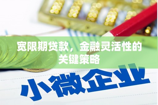 泉山宽限期贷款，金融灵活性的关键策略