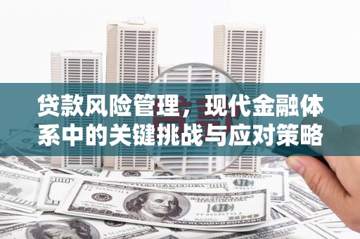 泉山贷款风险管理，现代金融体系中的关键挑战与应对策略