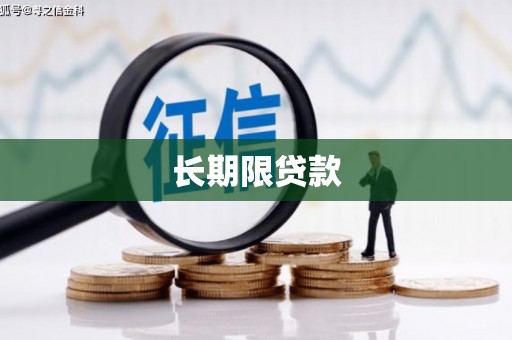泉山长期限贷款