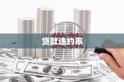 泉山贷款违约率