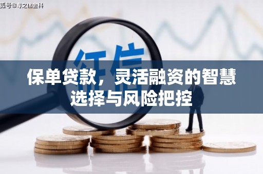 泉山保单贷款，灵活融资的智慧选择与风险把控