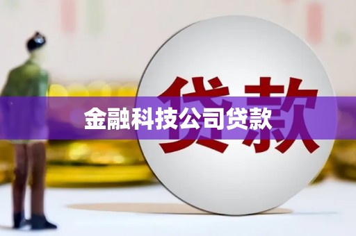 泉山金融科技公司贷款