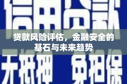 泉山贷款风险评估，金融安全的基石与未来趋势