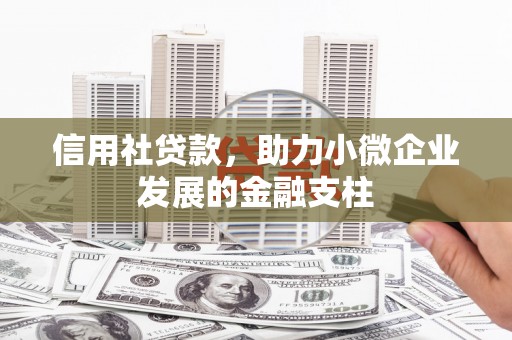 泉山信用社贷款，助力小微企业发展的金融支柱