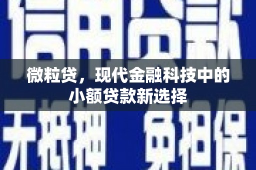 泉山微粒贷，现代金融科技中的小额贷款新选择