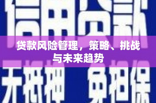 泉山贷款风险管理，策略、挑战与未来趋势