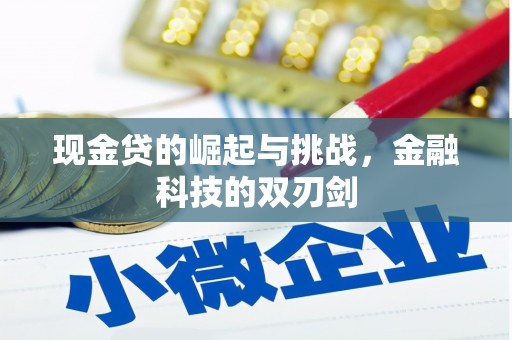 泉山现金贷的崛起与挑战，金融科技的双刃剑