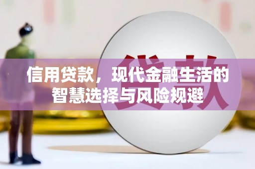 泉山信用贷款，现代金融生活的智慧选择与风险规避