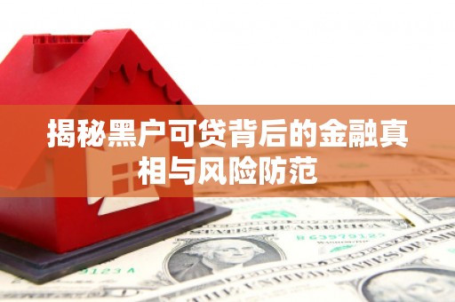 泉山揭秘黑户可贷背后的金融真相与风险防范