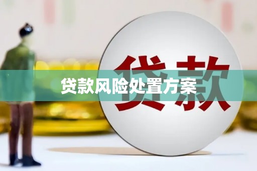 泉山贷款风险处置方案