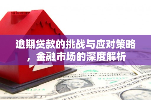 泉山逾期贷款的挑战与应对策略，金融市场的深度解析