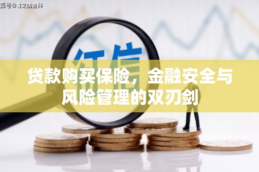 泉山贷款购买保险，金融安全与风险管理的双刃剑