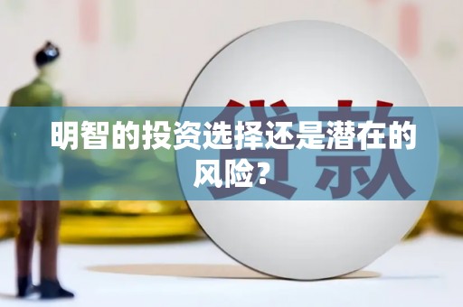 泉山明智的投资选择还是潜在的风险？