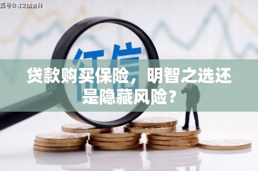 泉山贷款购买保险，明智之选还是隐藏风险？