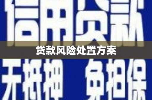 泉山贷款风险处置方案