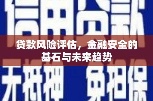 泉山贷款风险评估，金融安全的基石与未来趋势
