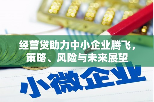 泉山经营贷助力中小企业腾飞，策略、风险与未来展望