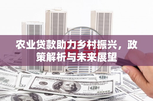 泉山农业贷款助力乡村振兴，政策解析与未来展望