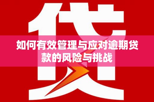 泉山如何有效管理与应对逾期贷款的风险与挑战