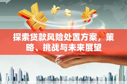 泉山探索贷款风险处置方案，策略、挑战与未来展望