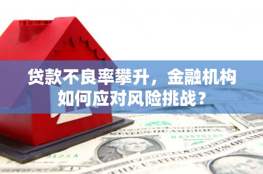 泉山贷款不良率攀升，金融机构如何应对风险挑战？