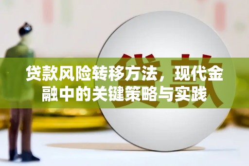 泉山贷款风险转移方法，现代金融中的关键策略与实践