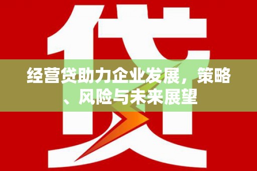 泉山经营贷助力企业发展，策略、风险与未来展望