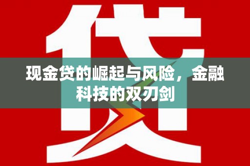 泉山现金贷的崛起与风险，金融科技的双刃剑