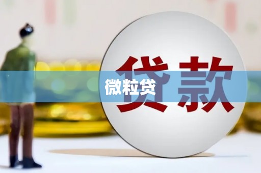 泉山微粒贷