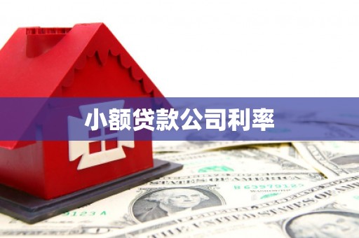 泉山小额贷款公司利率