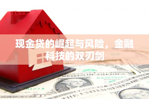 泉山现金贷的崛起与风险，金融科技的双刃剑