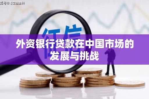 泉山外资银行贷款在中国市场的发展与挑战