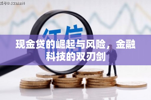 泉山现金贷的崛起与风险，金融科技的双刃剑