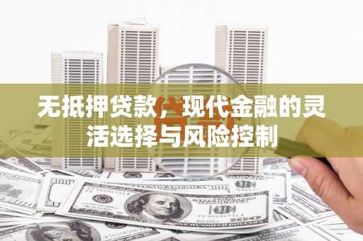 泉山无抵押贷款，现代金融的灵活选择与风险控制