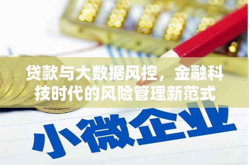 泉山贷款与大数据风控，金融科技时代的风险管理新范式