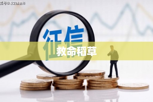 泉山救命稻草